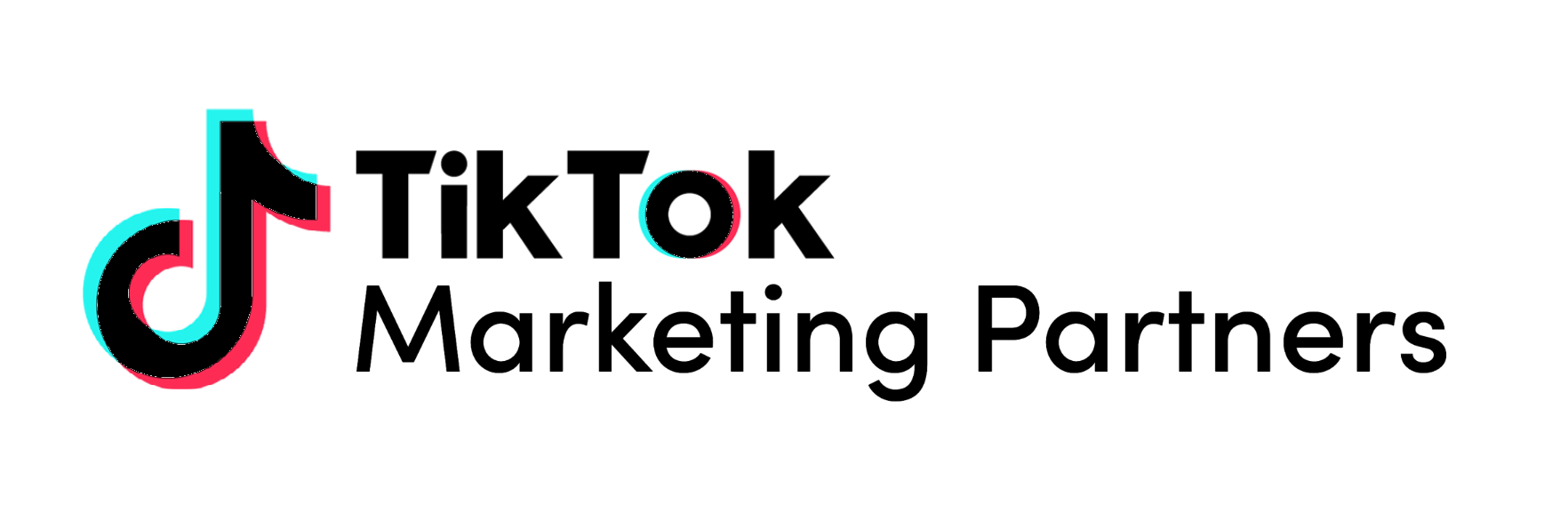 TikTok Marketing Partner